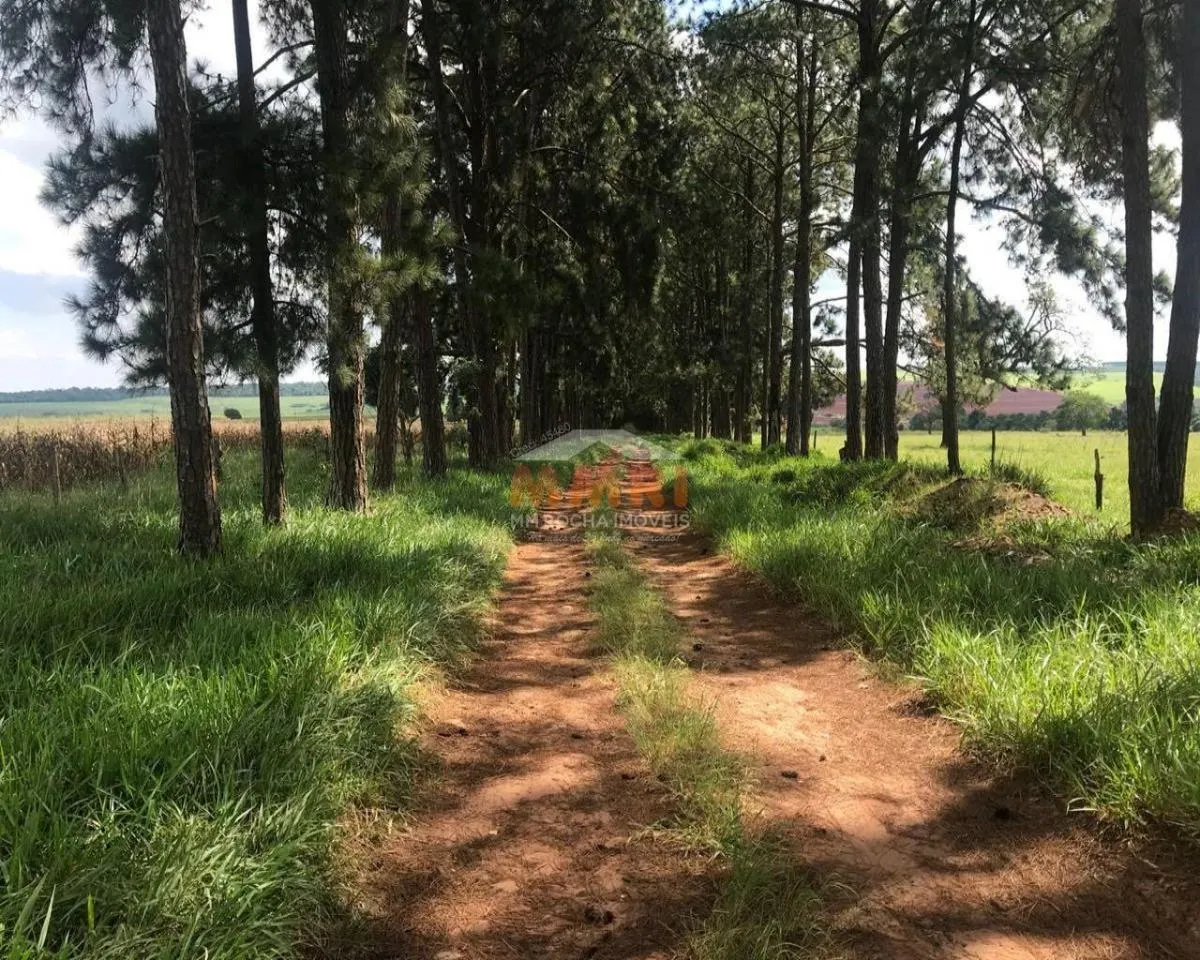 Fazenda à venda de 185 ha em Capela do Alto, SP, Brasil