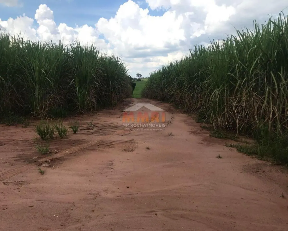 Fazenda à venda de 185 ha em Capela do Alto, SP, Brasil