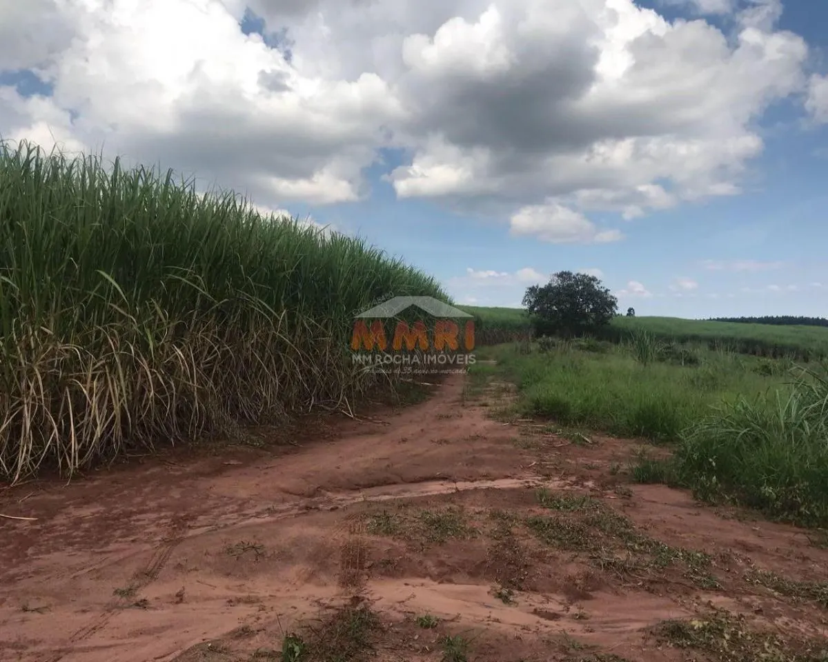 Fazenda à venda de 185 ha em Capela do Alto, SP, Brasil