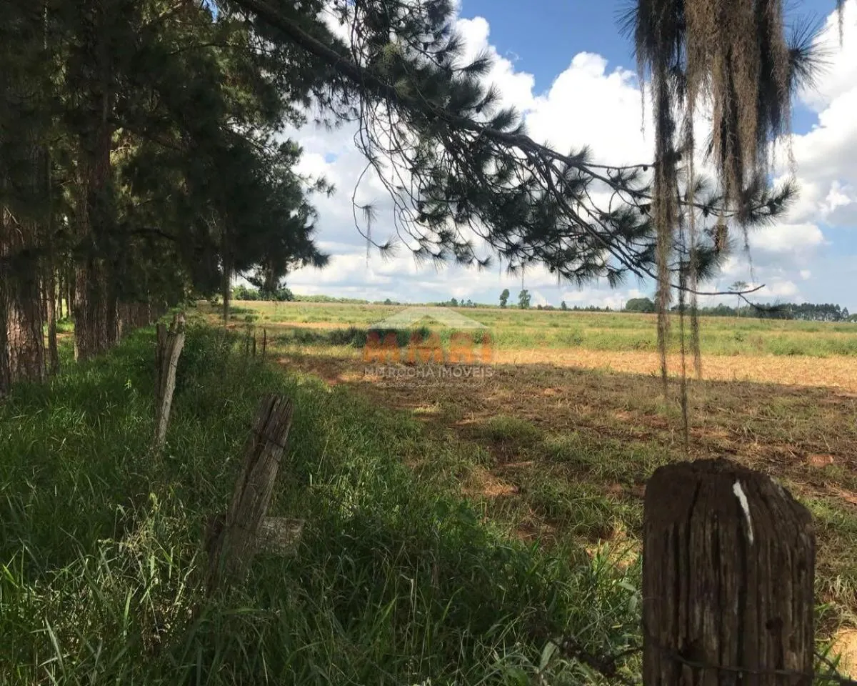 Fazenda à venda de 185 ha em Capela do Alto, SP, Brasil