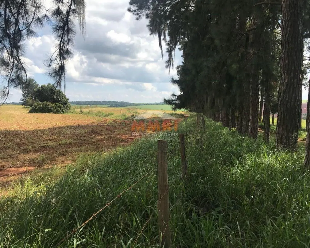 Fazenda à venda de 185 ha em Capela do Alto, SP, Brasil