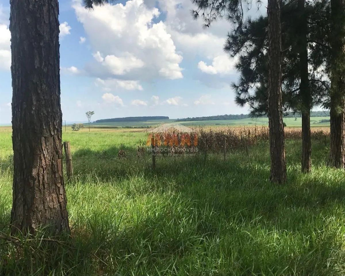 Fazenda à venda de 185 ha em Capela do Alto, SP, Brasil