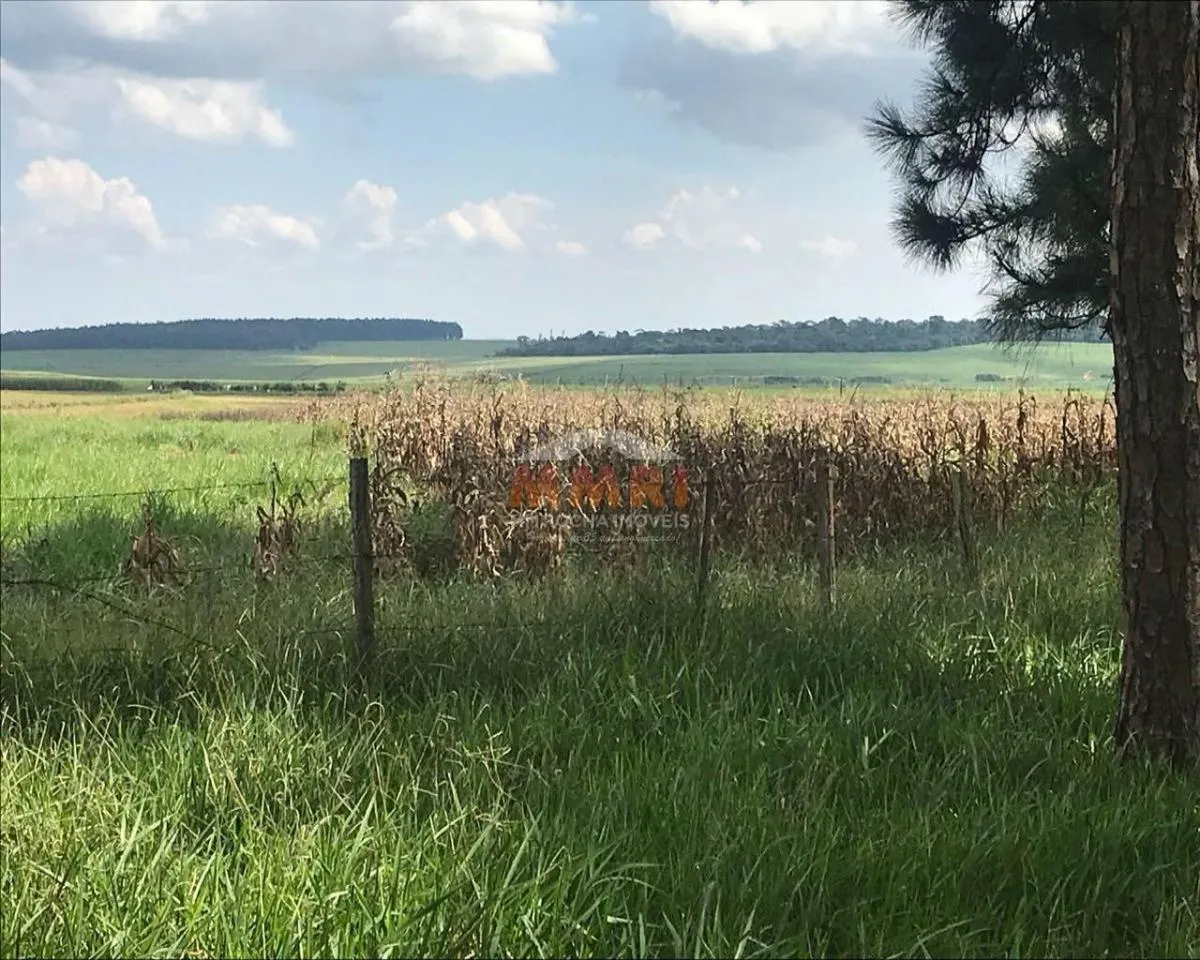Fazenda à venda de 185 ha em Capela do Alto, SP, Brasil