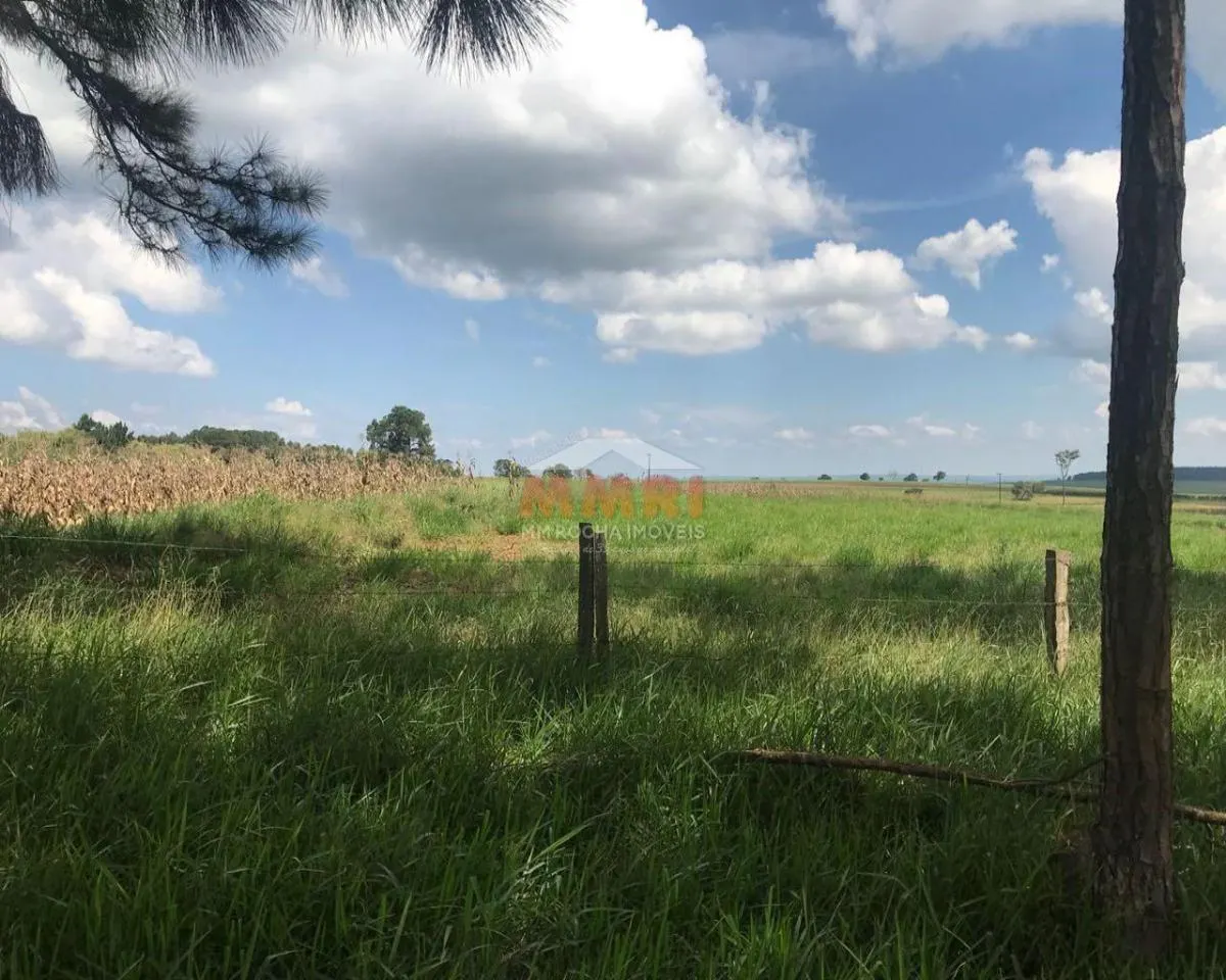 Fazenda à venda de 185 ha em Capela do Alto, SP, Brasil