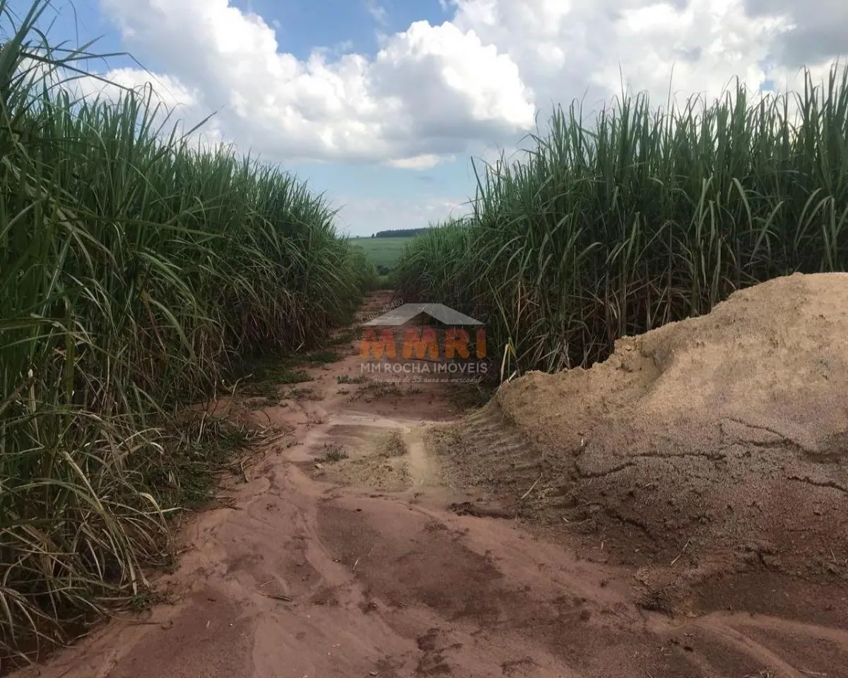 Fazenda à venda de 185 ha em Capela do Alto, SP, Brasil