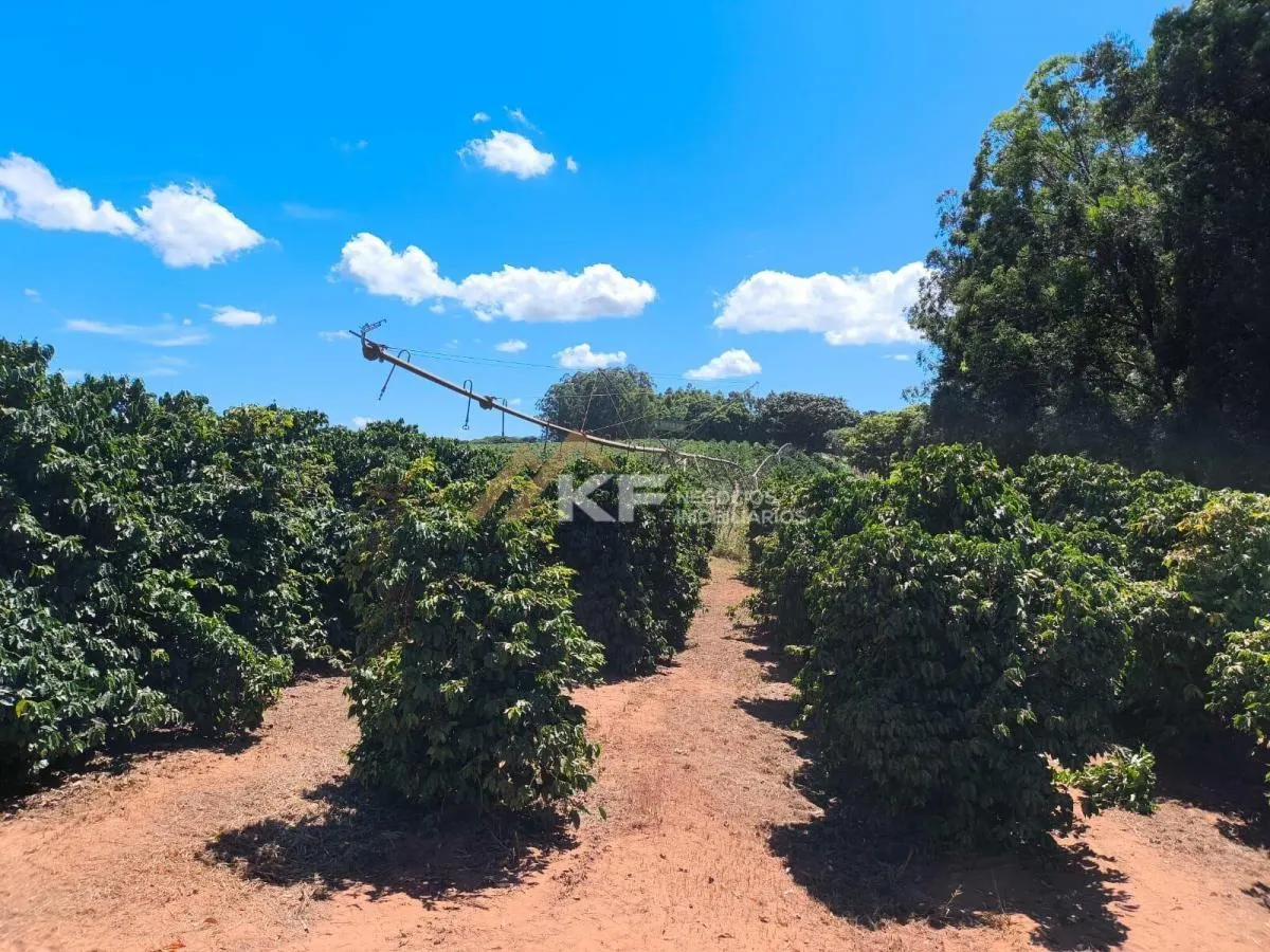 Fazenda à venda de 179 ha em São José do Rio Preto, SP, Brasil