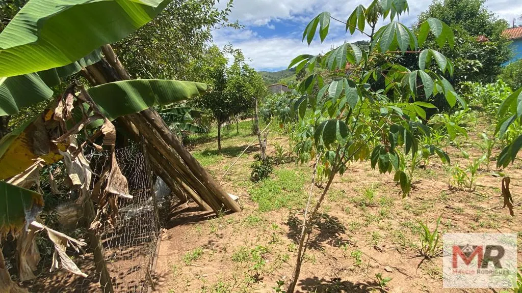 Chácara à venda de 3.000 m² em Cambuí, MG, Brasil