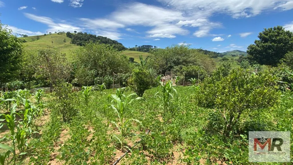 Chácara à venda de 3.000 m² em Cambuí, MG, Brasil