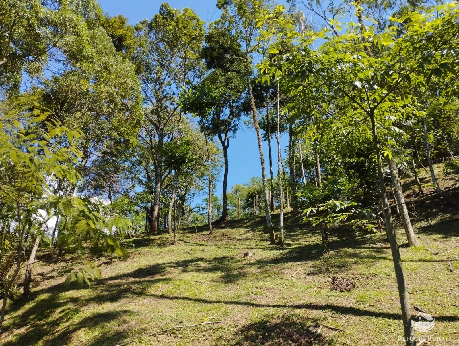 Small farm for sale of 6 acres in São José dos Campos, SP, Brazil