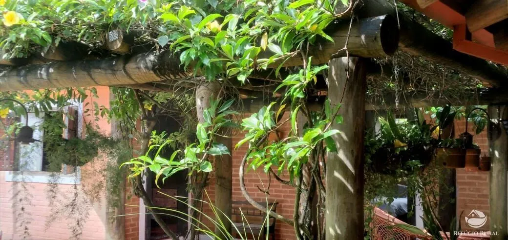 Small farm for sale of 6 acres in São José dos Campos, SP, Brazil