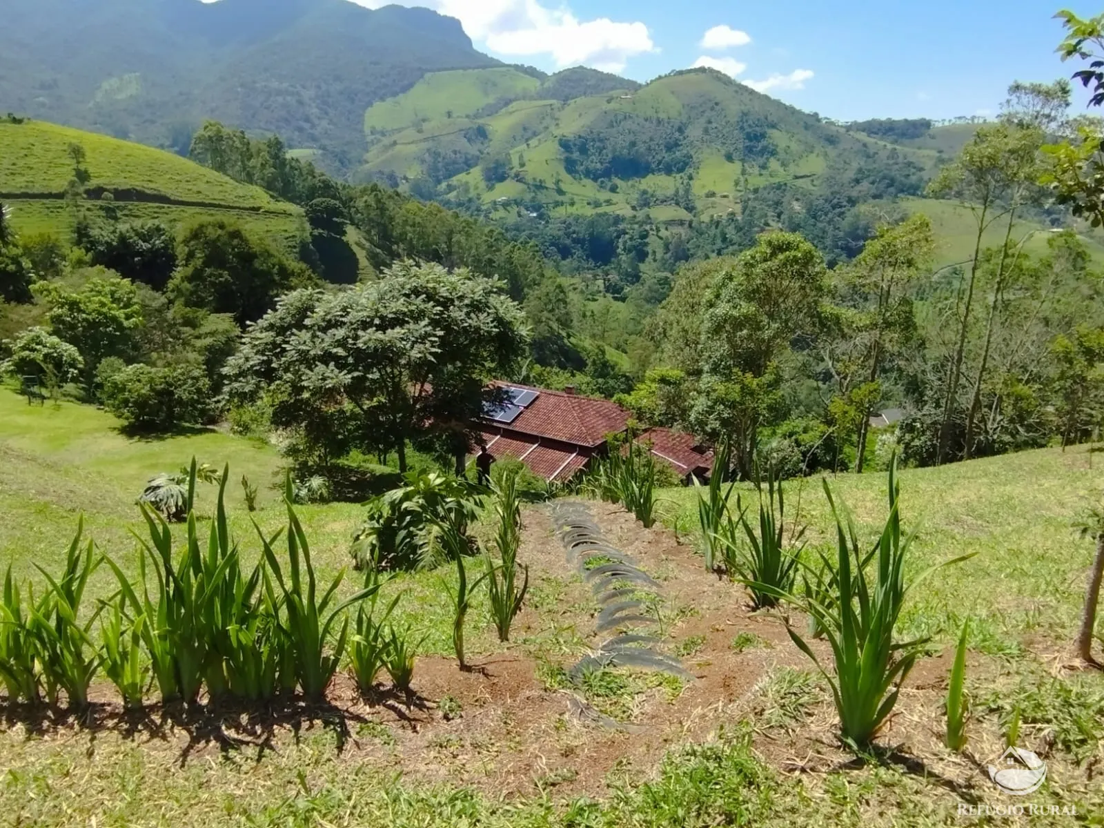 Small farm for sale of 6 acres in São José dos Campos, SP, Brazil