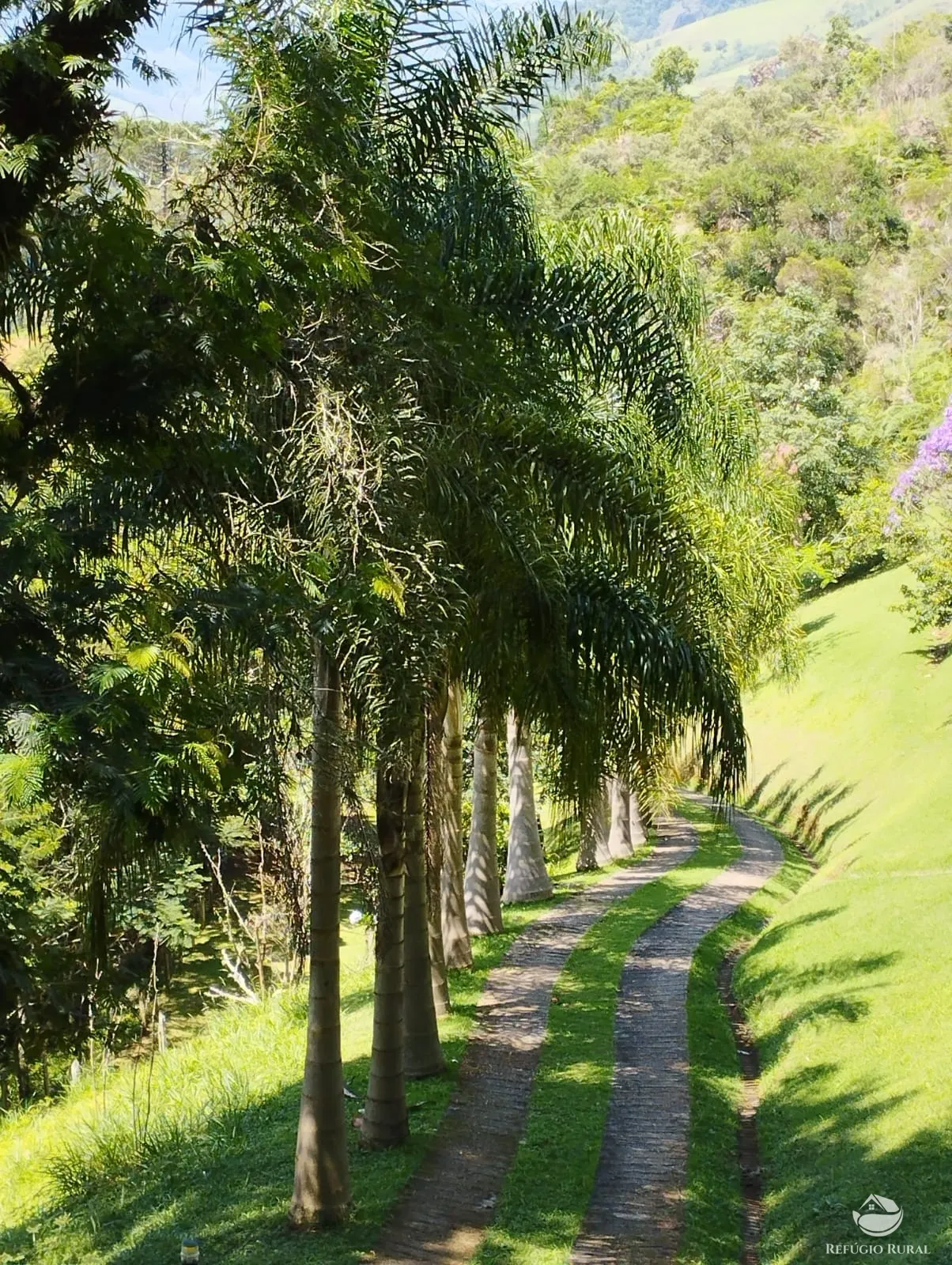 Small farm for sale of 6 acres in São José dos Campos, SP, Brazil