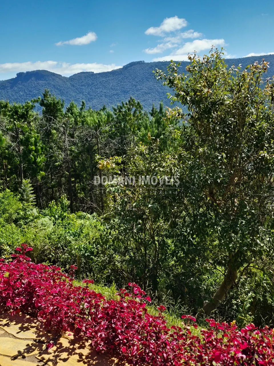 Casa para Alugar de 1 ha em Campos do Jordão, SP, Brasil