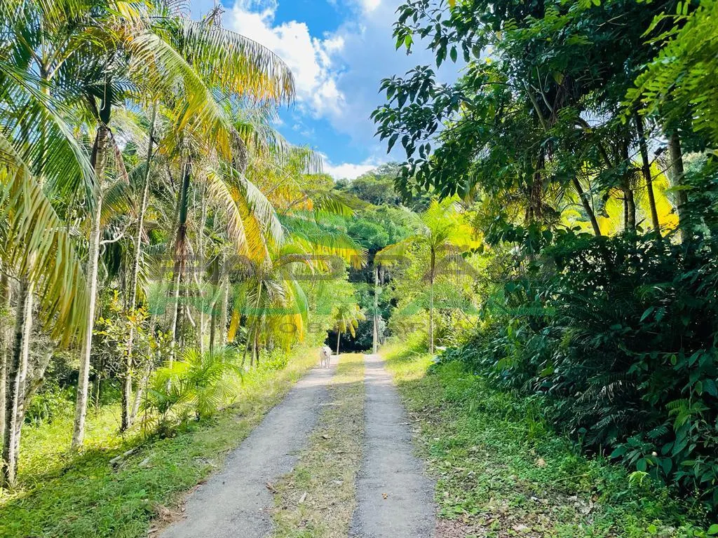 Sítio à venda de 12 ha em Ibiúna, SP, Brasil