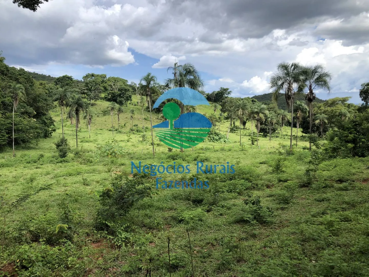 Fazenda à venda de 484 ha em Campinaçu, GO, Brasil