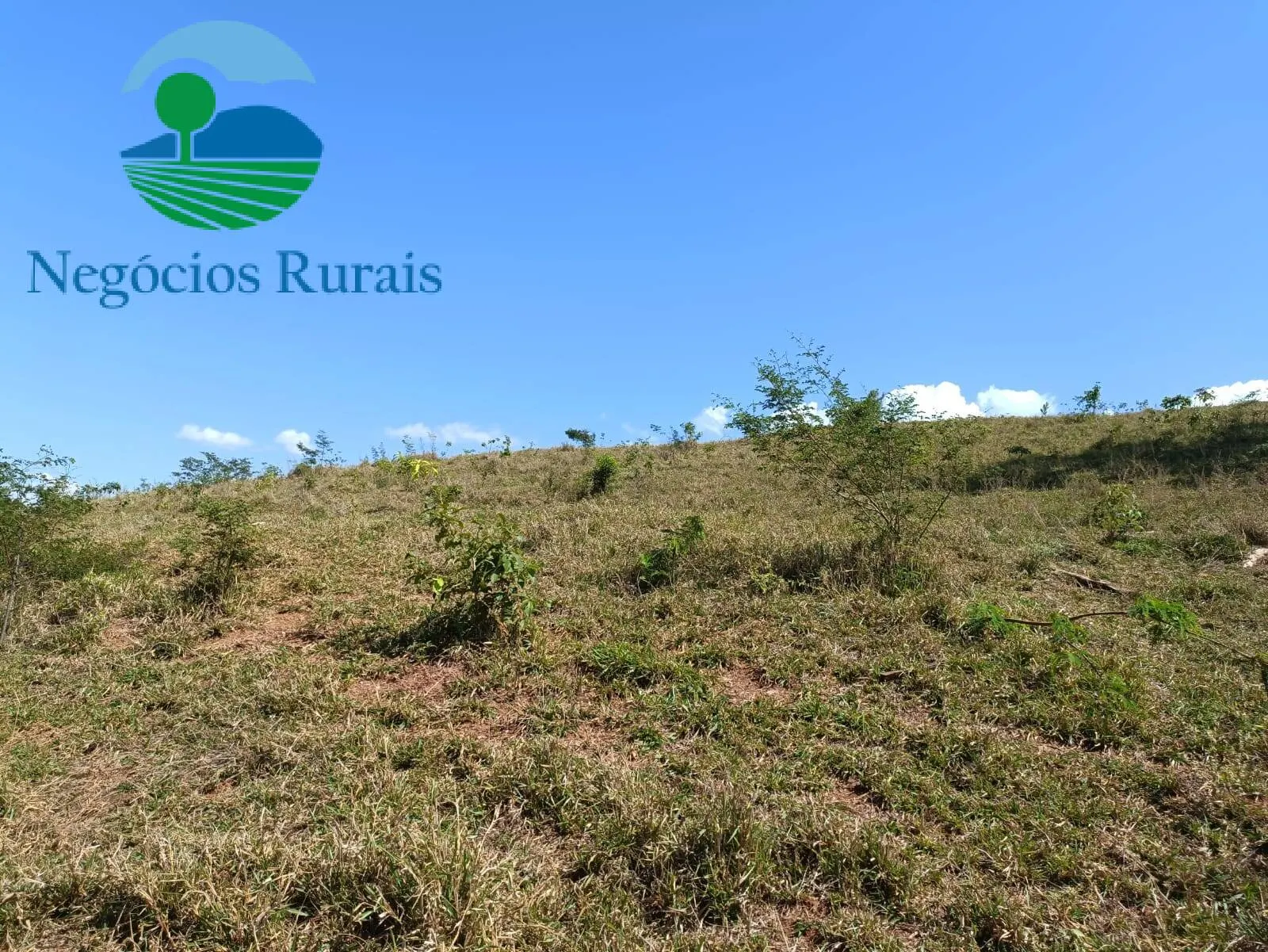 Fazenda à venda de 484 ha em Campinaçu, GO, Brasil