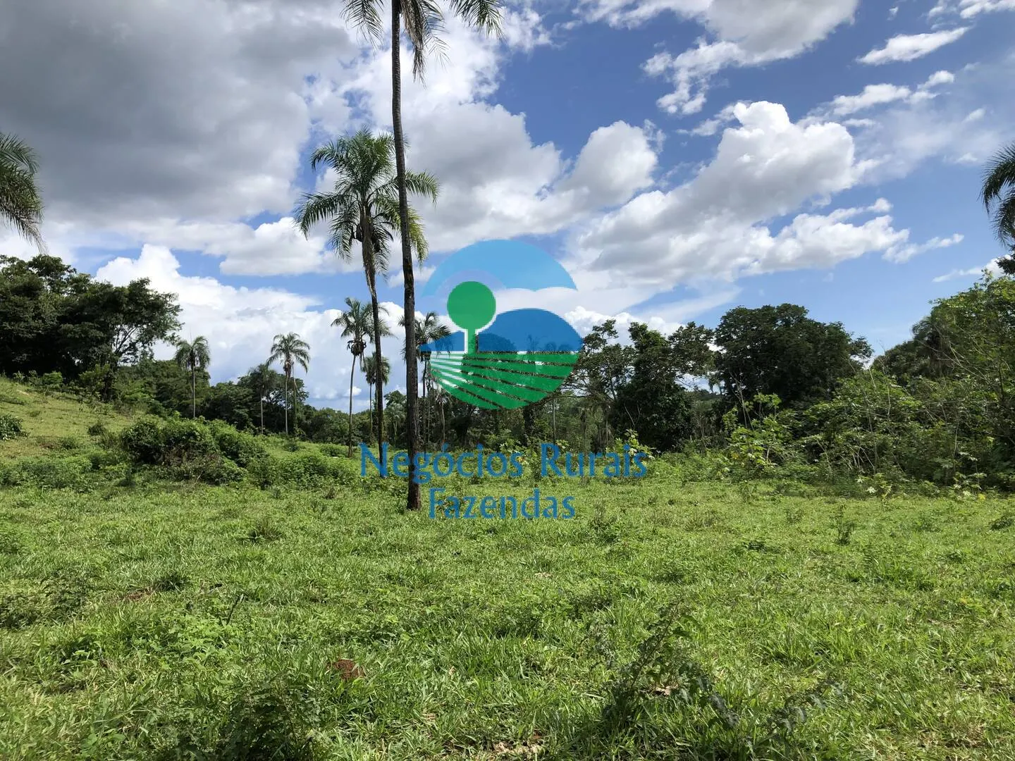 Fazenda à venda de 484 ha em Campinaçu, GO, Brasil