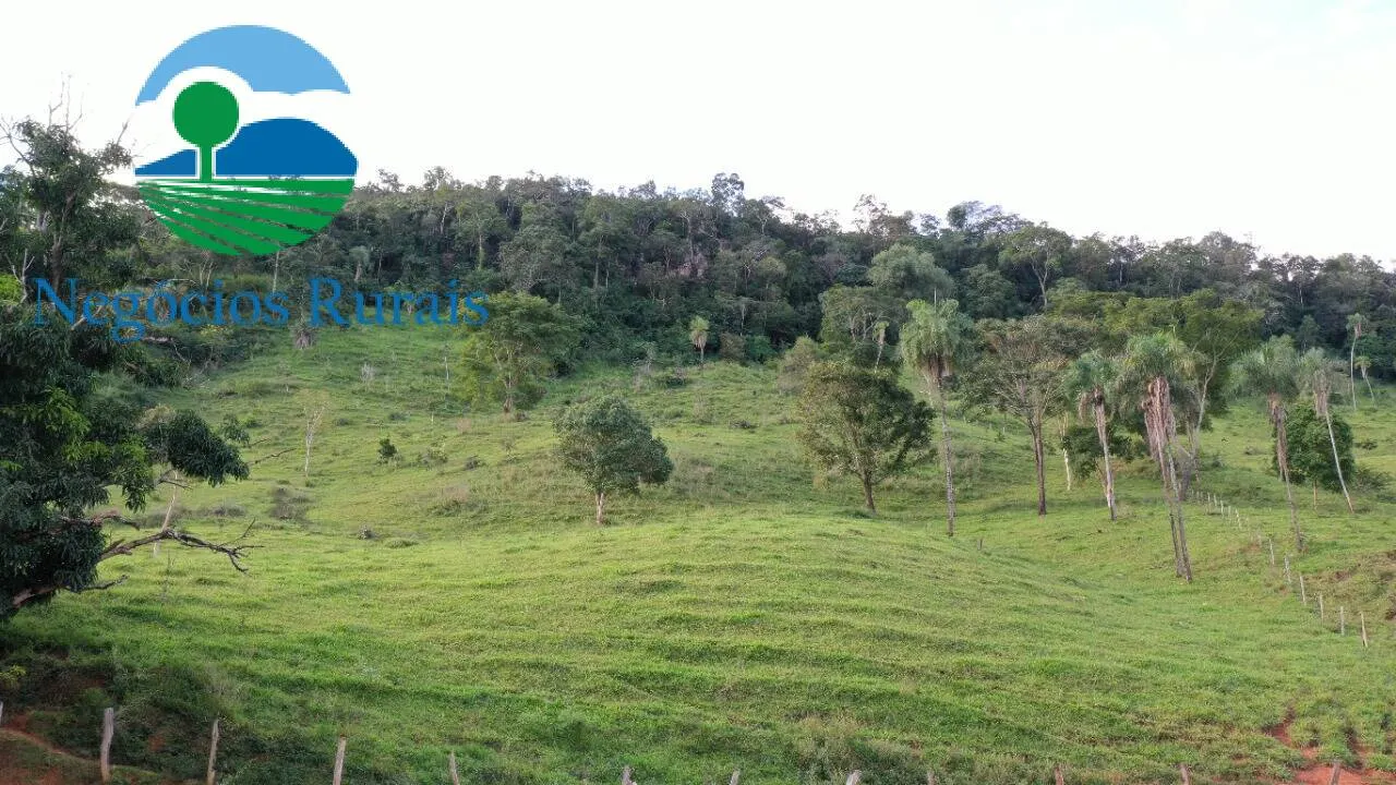 Fazenda à venda de 484 ha em Campinaçu, GO, Brasil