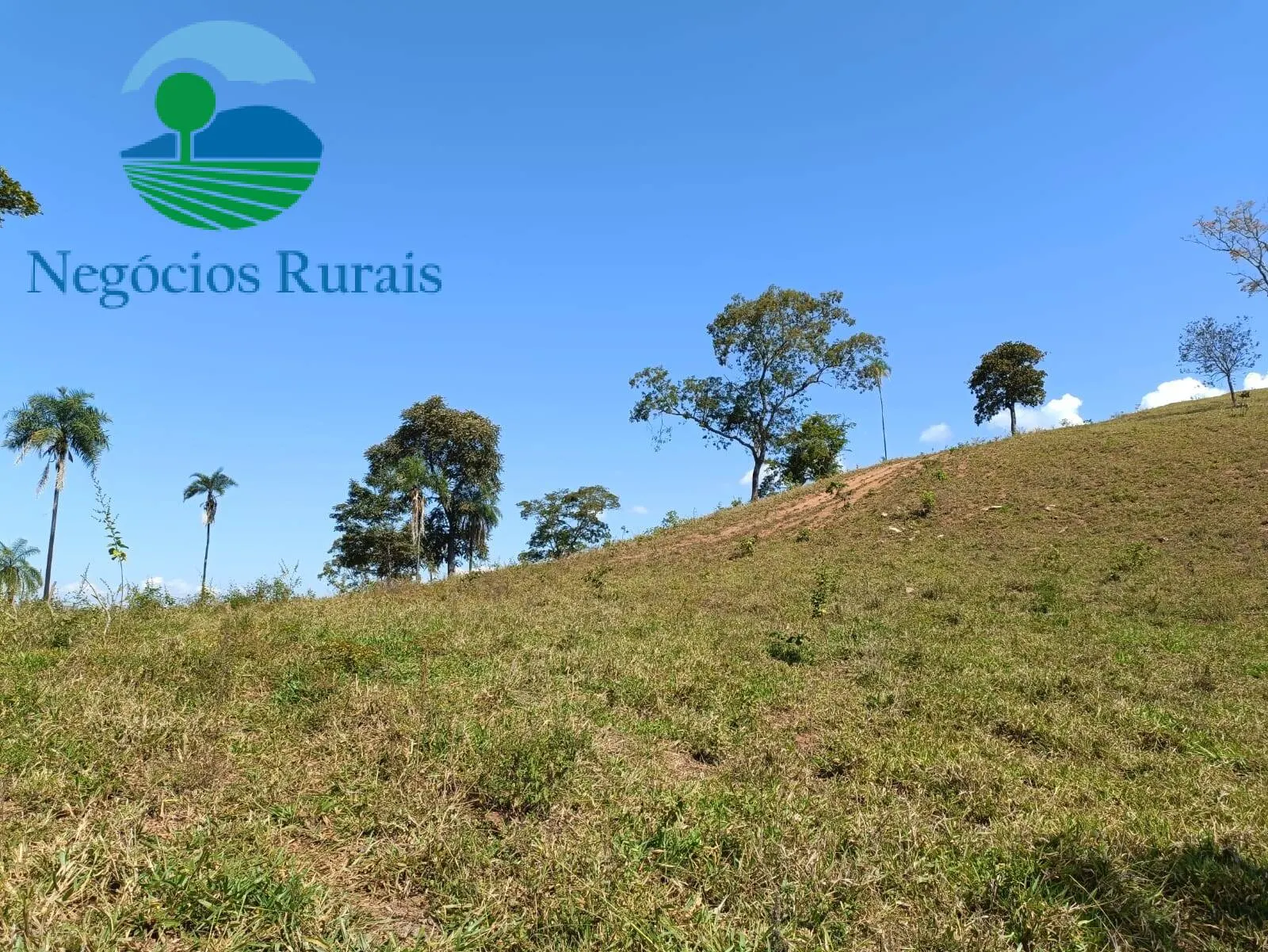 Fazenda à venda de 484 ha em Campinaçu, GO, Brasil