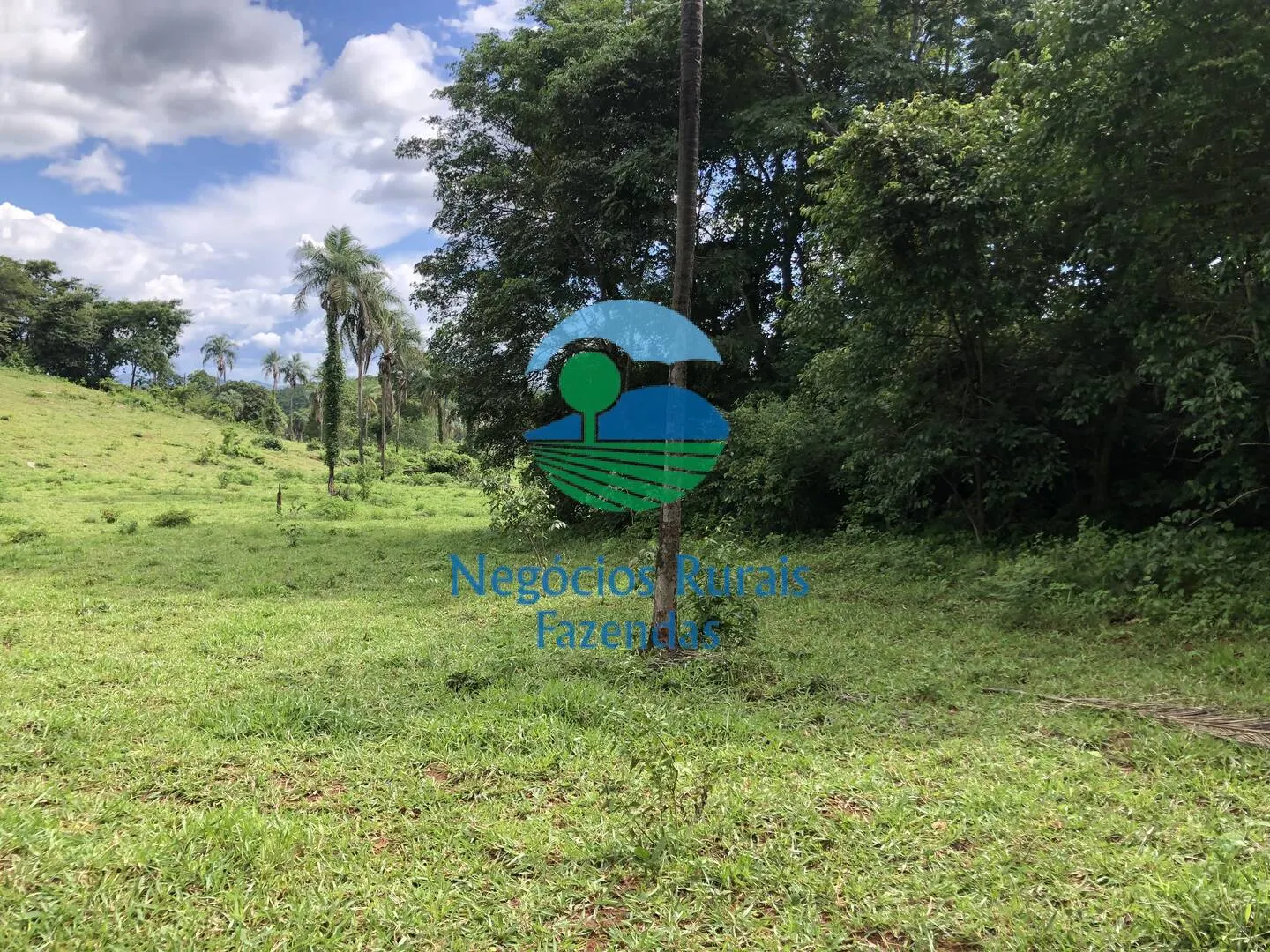 Fazenda à venda de 484 ha em Campinaçu, GO, Brasil