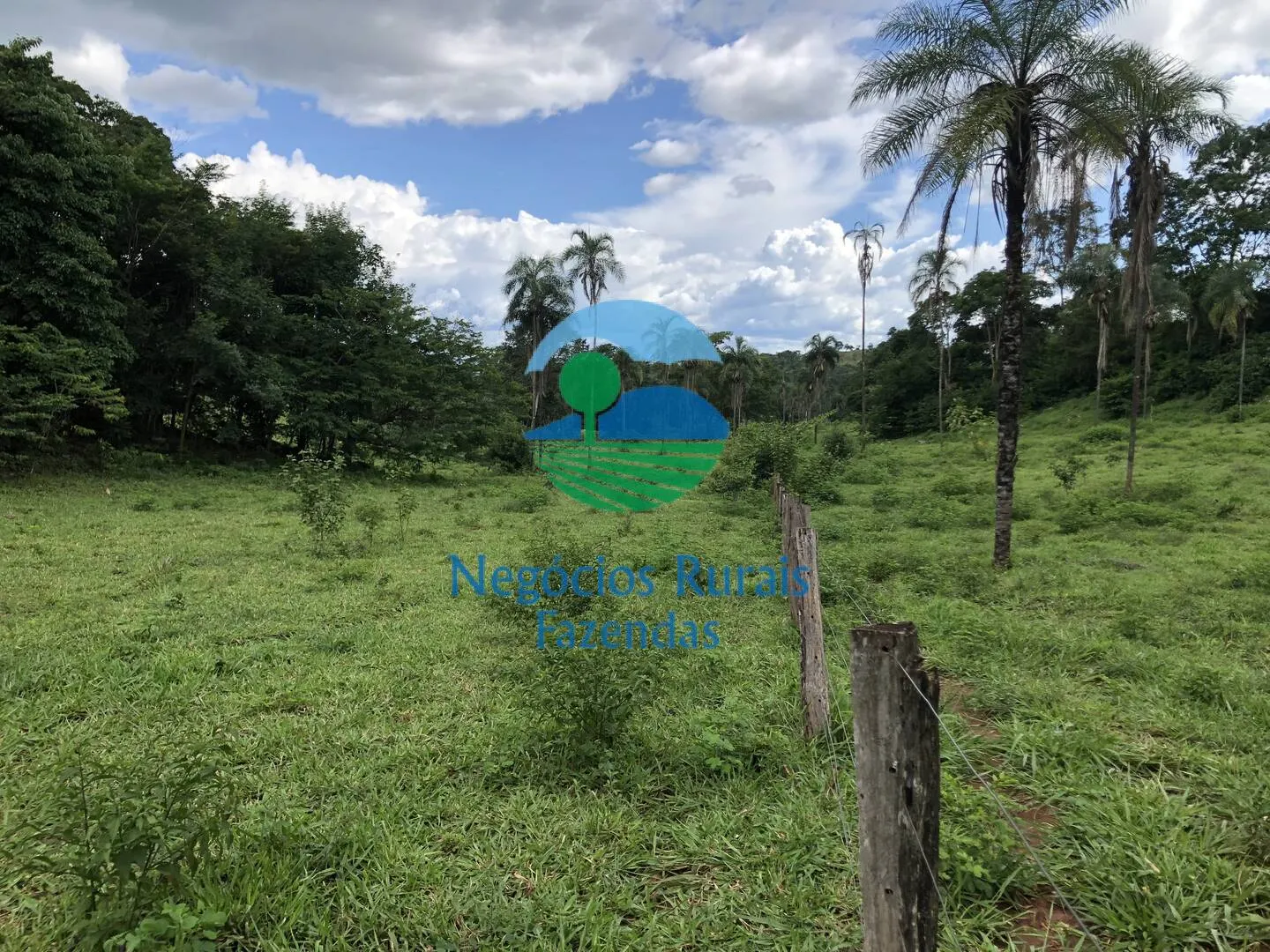 Fazenda à venda de 484 ha em Campinaçu, GO, Brasil