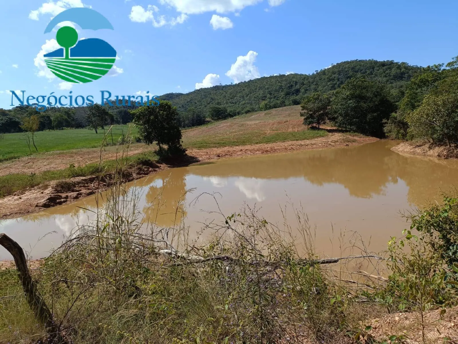 Fazenda à venda de 484 ha em Campinaçu, GO, Brasil
