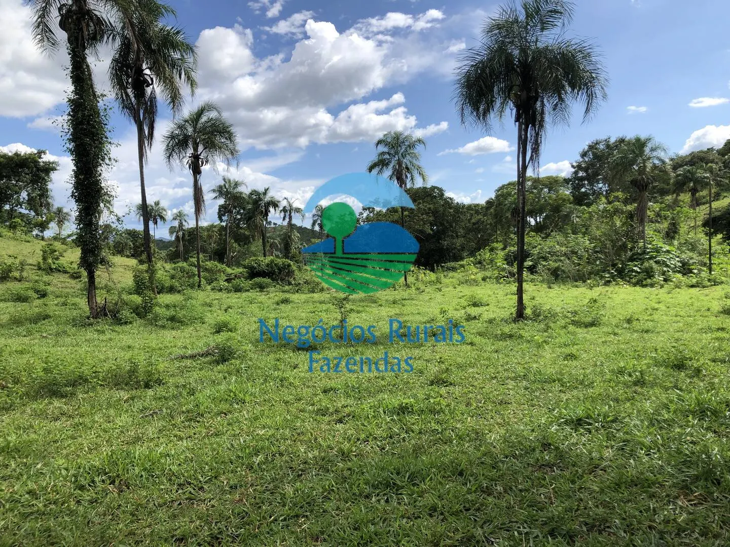 Fazenda à venda de 484 ha em Campinaçu, GO, Brasil