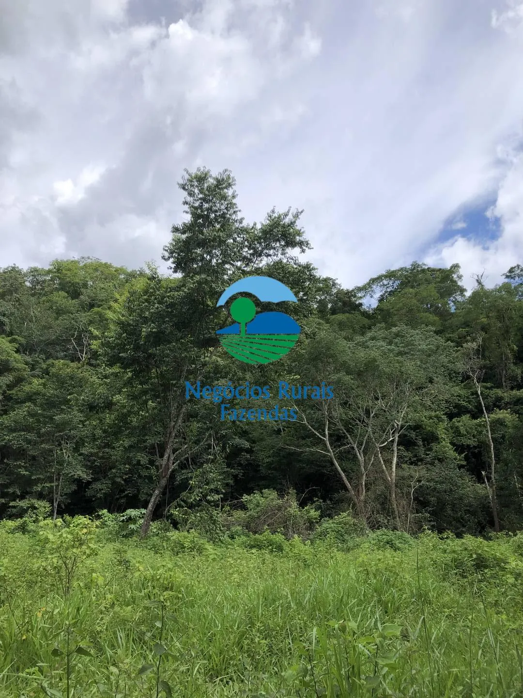 Fazenda à venda de 484 ha em Campinaçu, GO, Brasil