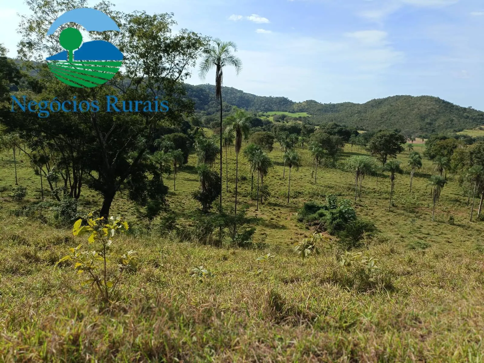 Fazenda à venda de 484 ha em Campinaçu, GO, Brasil