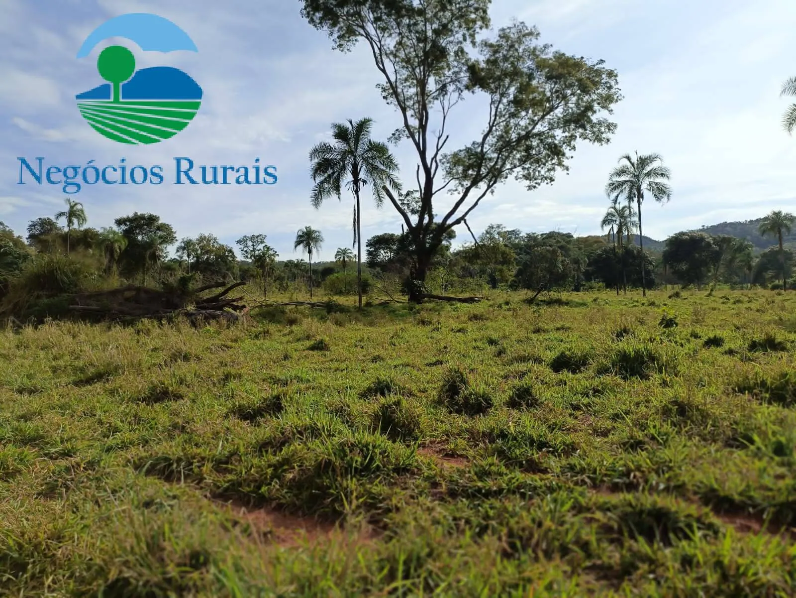 Fazenda à venda de 484 ha em Campinaçu, GO, Brasil