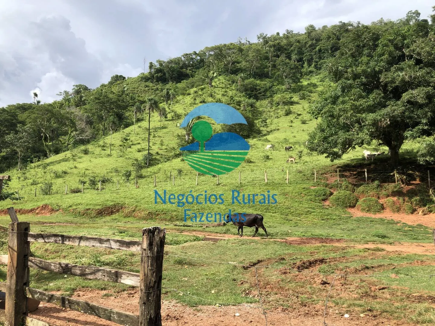 Fazenda à venda de 484 ha em Campinaçu, GO, Brasil