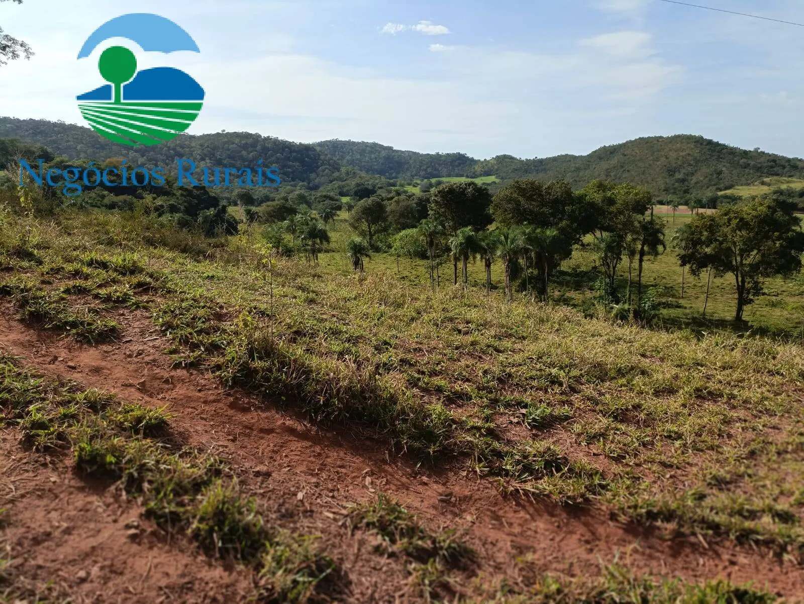 Fazenda à venda de 484 ha em Campinaçu, GO, Brasil