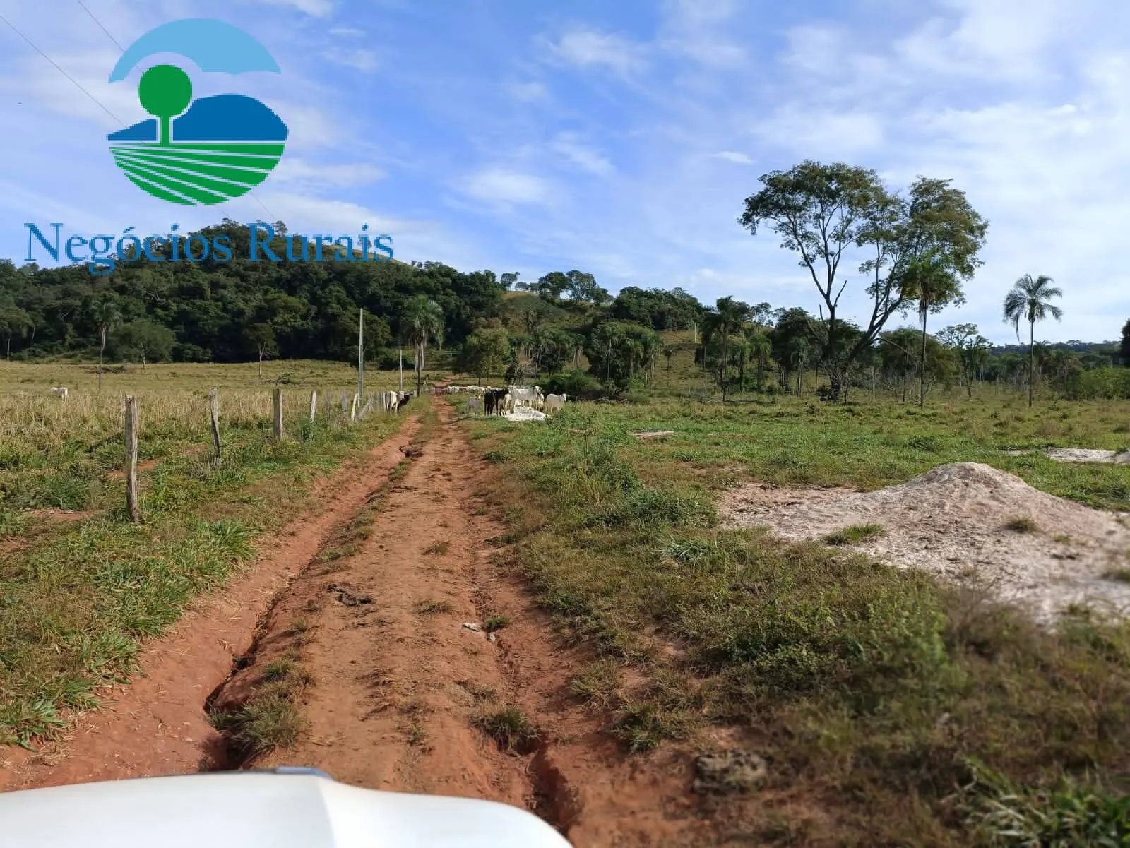 Fazenda à venda de 484 ha em Campinaçu, GO, Brasil