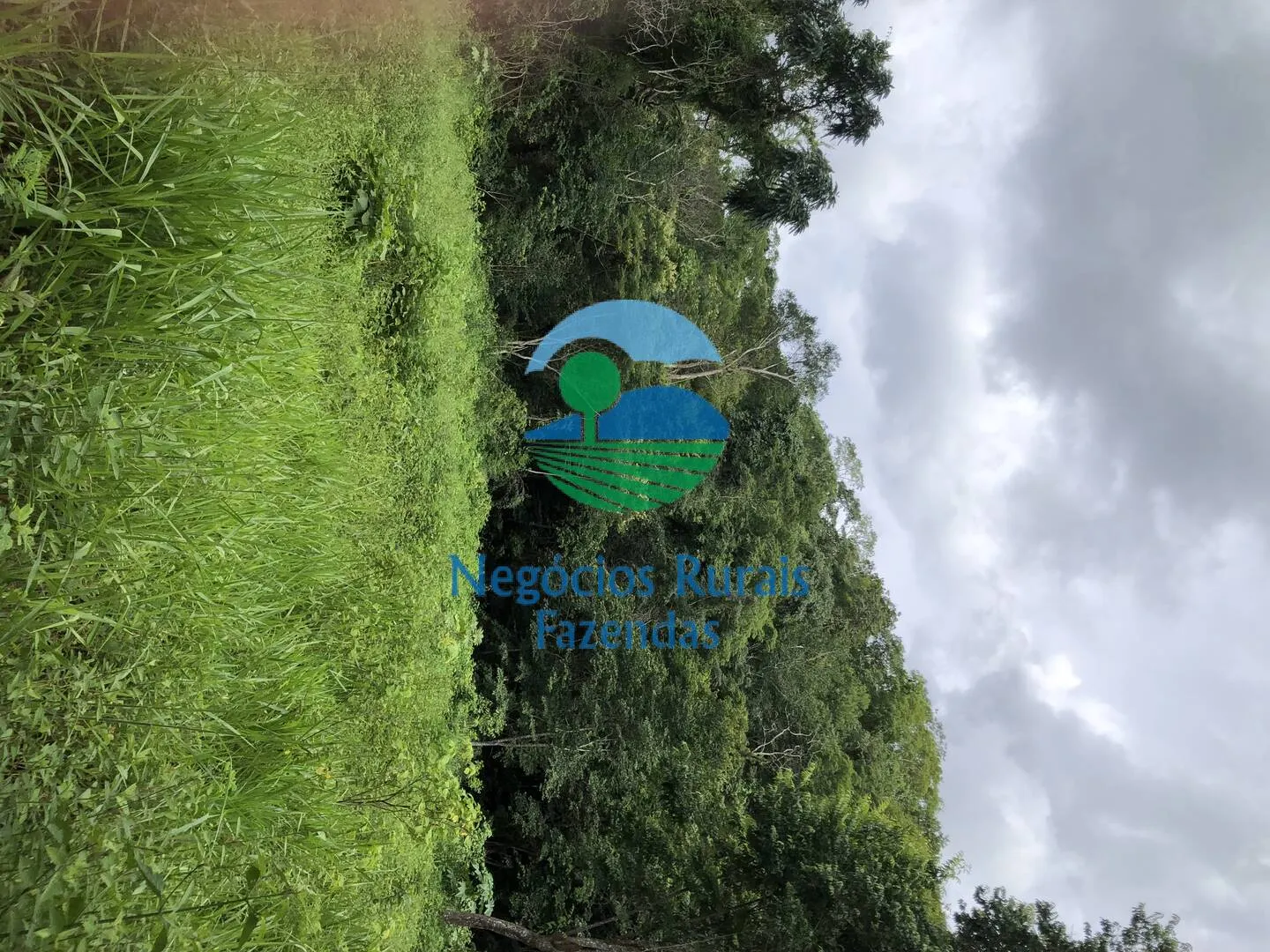 Fazenda à venda de 484 ha em Campinaçu, GO, Brasil