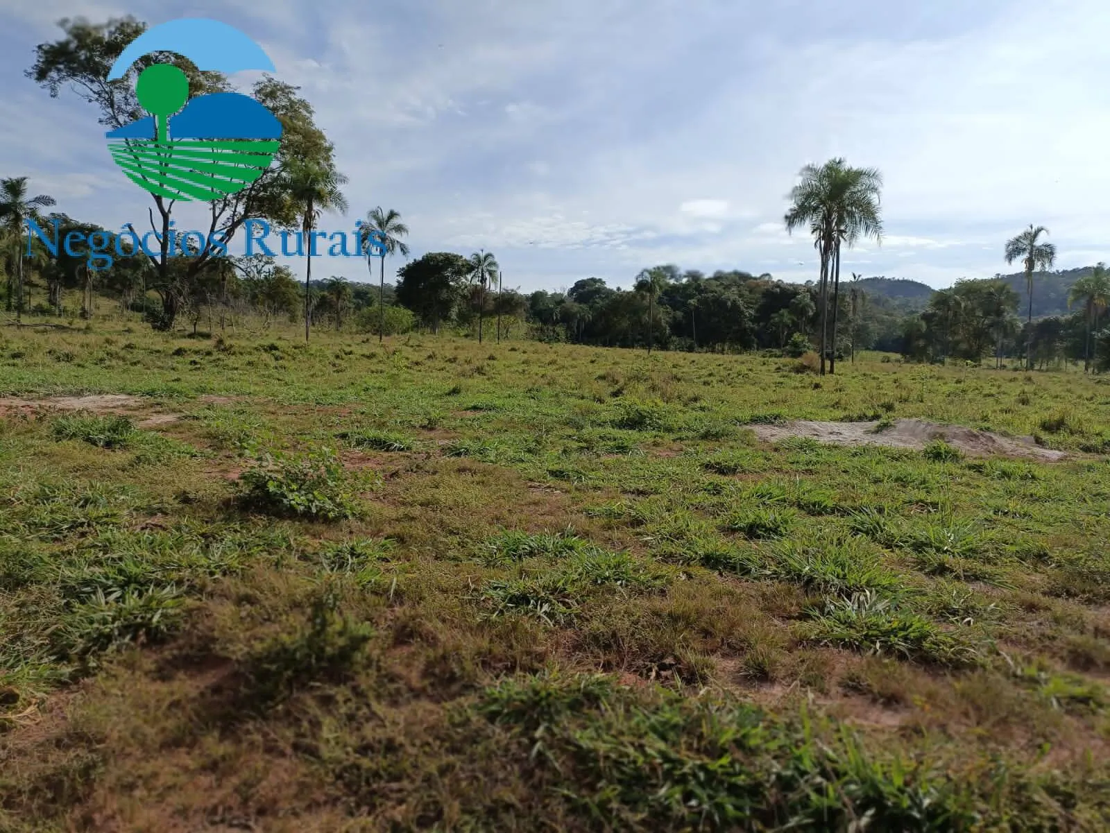 Fazenda à venda de 484 ha em Campinaçu, GO, Brasil