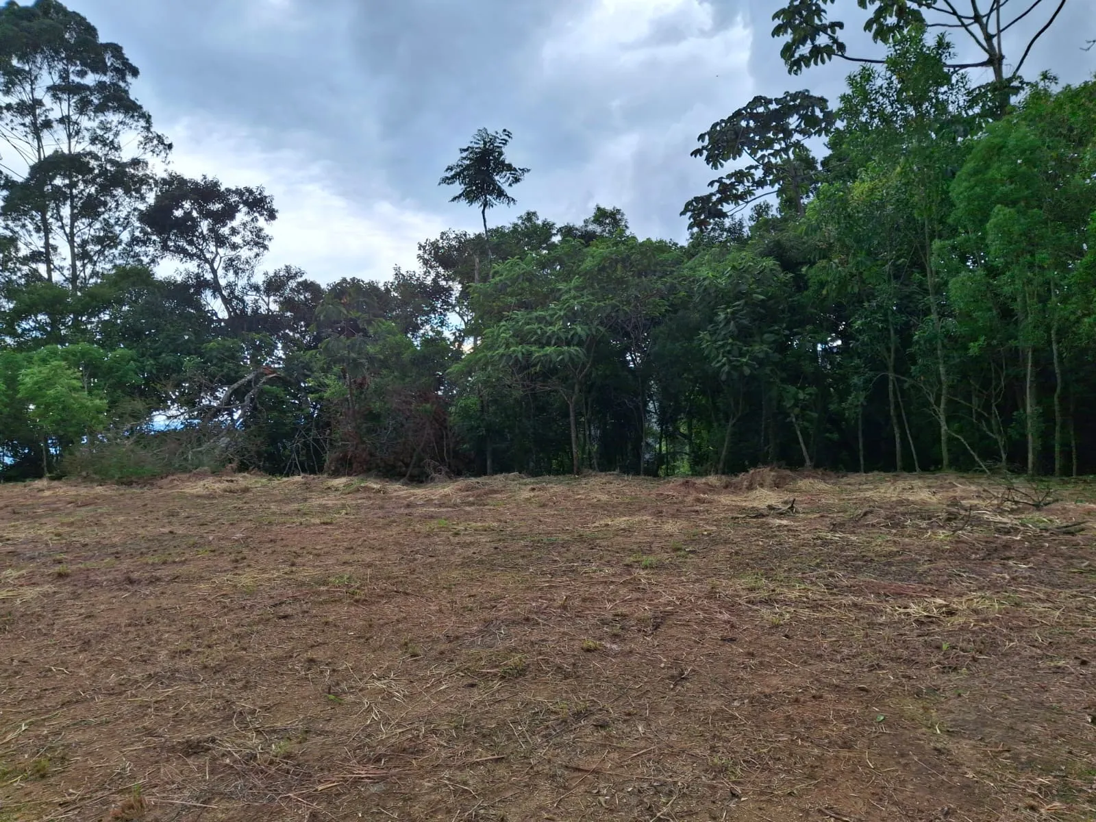 Plot for sale of 6 acres in São José dos Campos, SP, Brazil