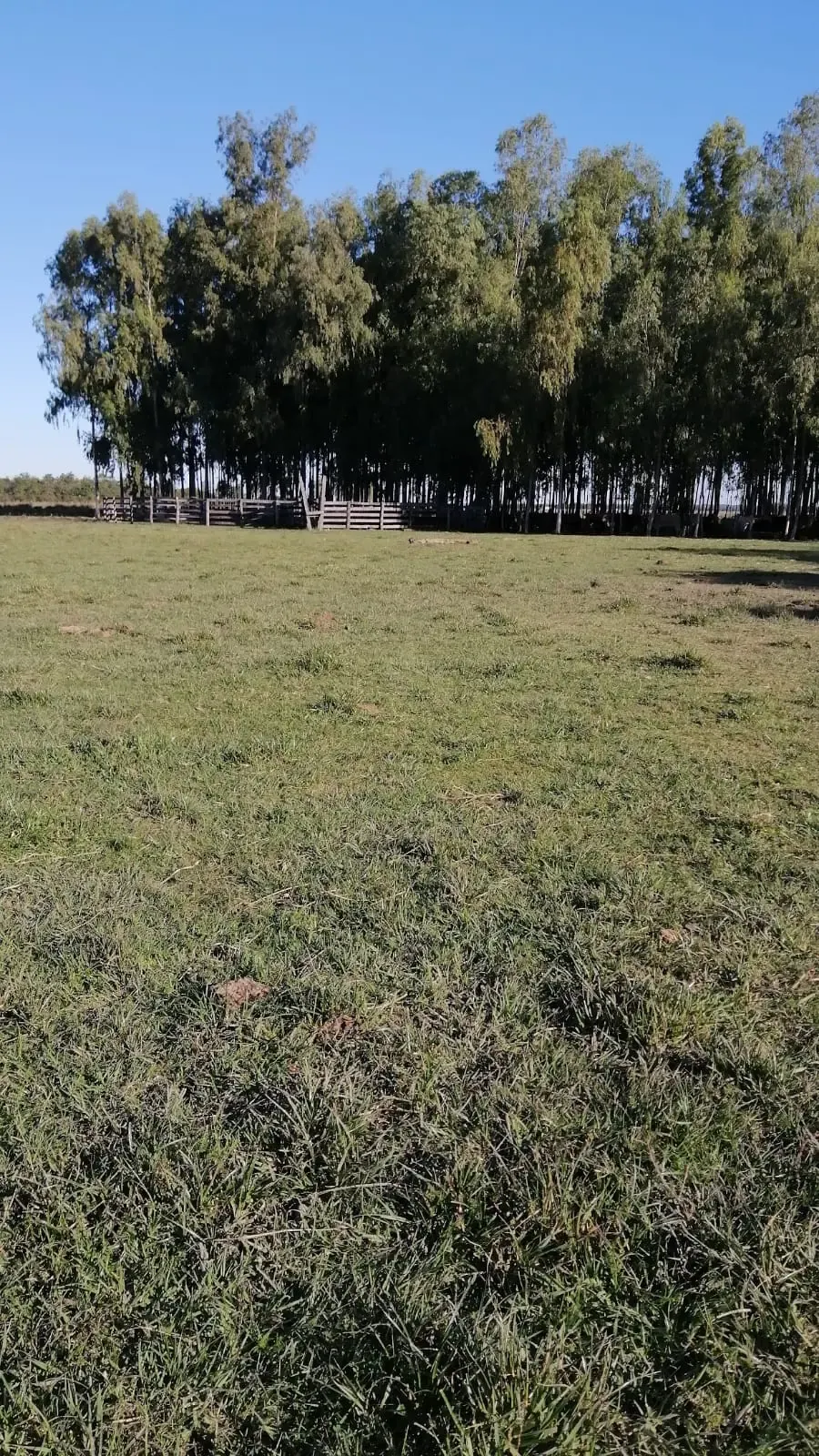 Fazenda à venda de 288 ha em Arroyos y Esteros, Paraguai