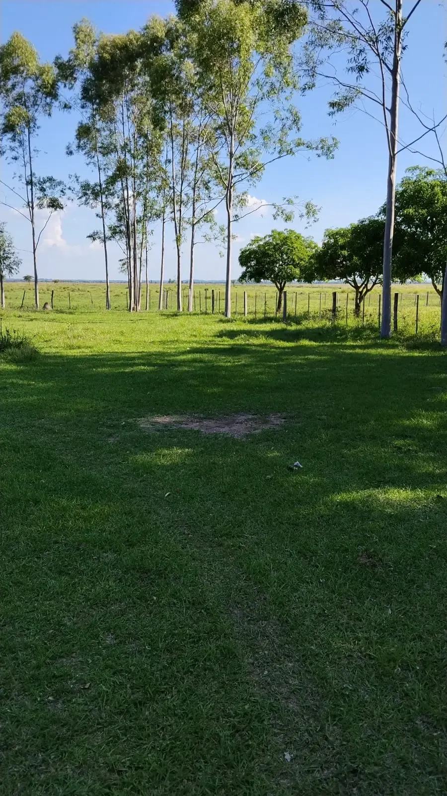 Fazenda à venda de 288 ha em Arroyos y Esteros, Paraguai
