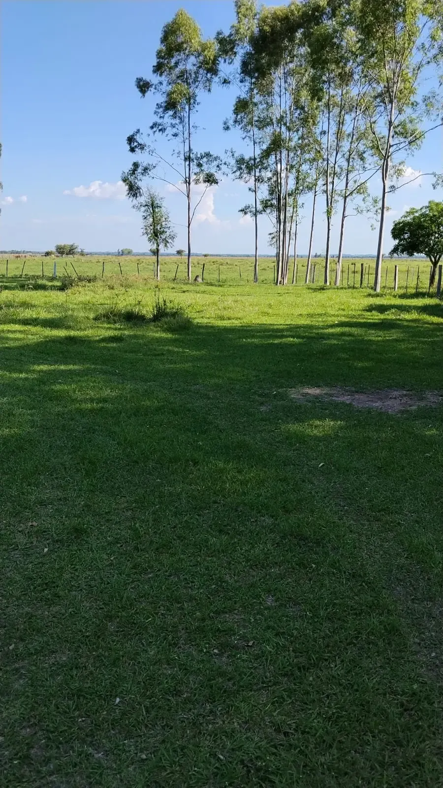 Fazenda à venda de 288 ha em Arroyos y Esteros, Paraguai