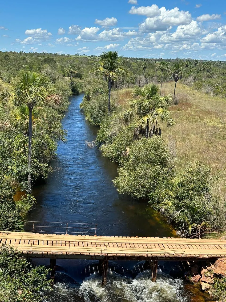 Farm for sale of 12,355 acres in Jaborandi, BA, Brazil