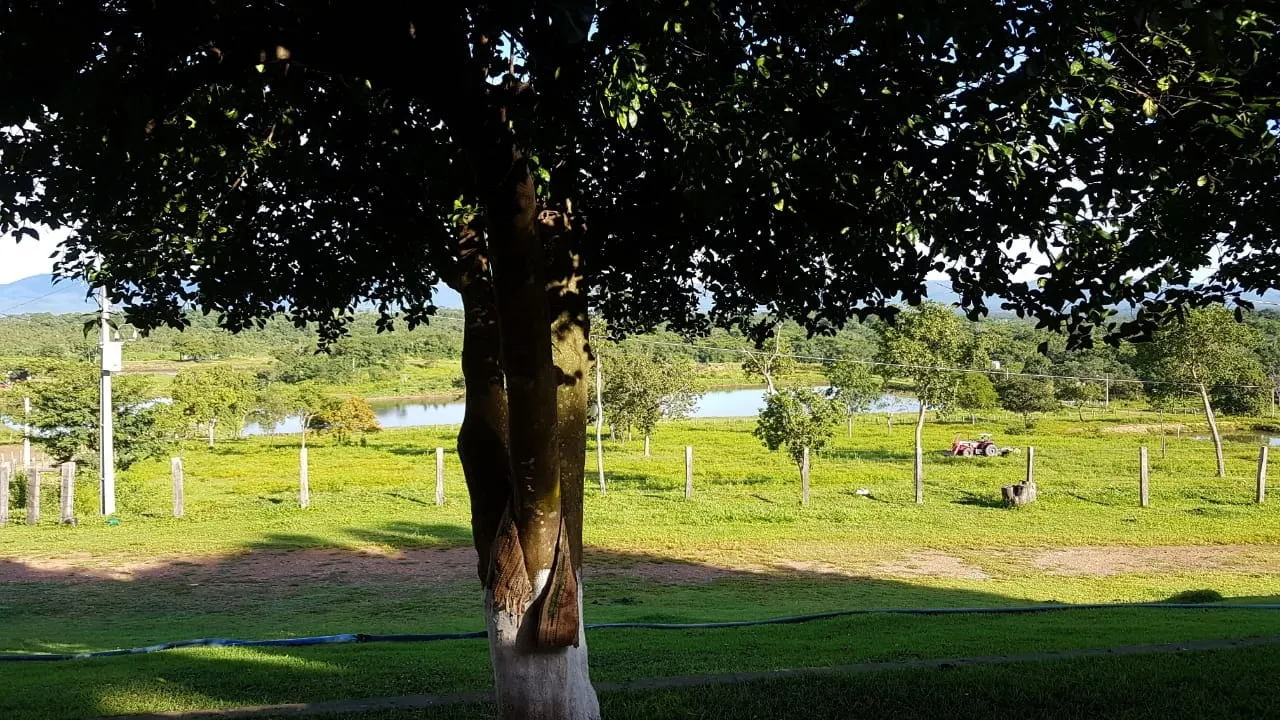 Fazenda à venda de 1.952 ha em Poconé, MT, Brasil