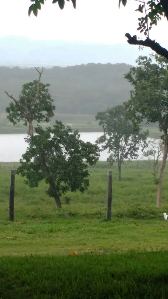 Fazenda à venda de 1.952 ha em Poconé, MT, Brasil