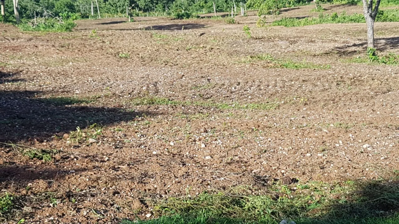 Fazenda à venda de 1.952 ha em Poconé, MT, Brasil