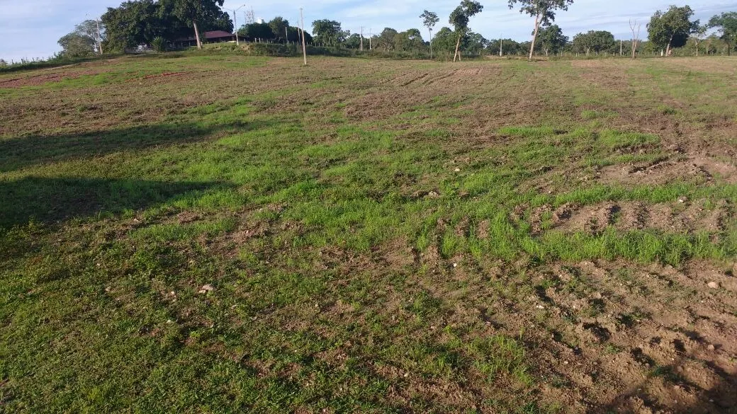 Fazenda à venda de 1.952 ha em Poconé, MT, Brasil
