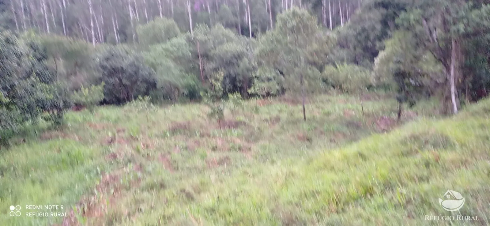Sítio à venda de 4 ha em São José dos Campos, SP, Brasil