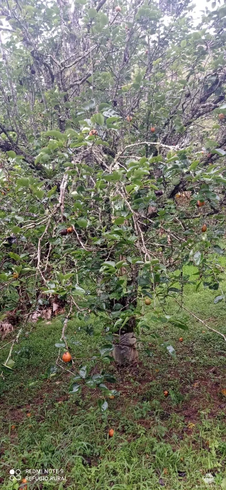 Sítio à venda de 4 ha em São José dos Campos, SP, Brasil