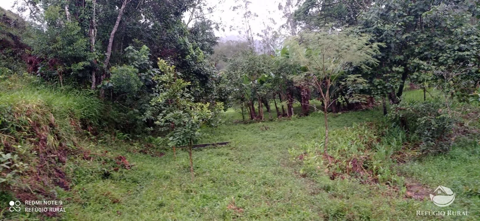 Sítio à venda de 4 ha em São José dos Campos, SP, Brasil