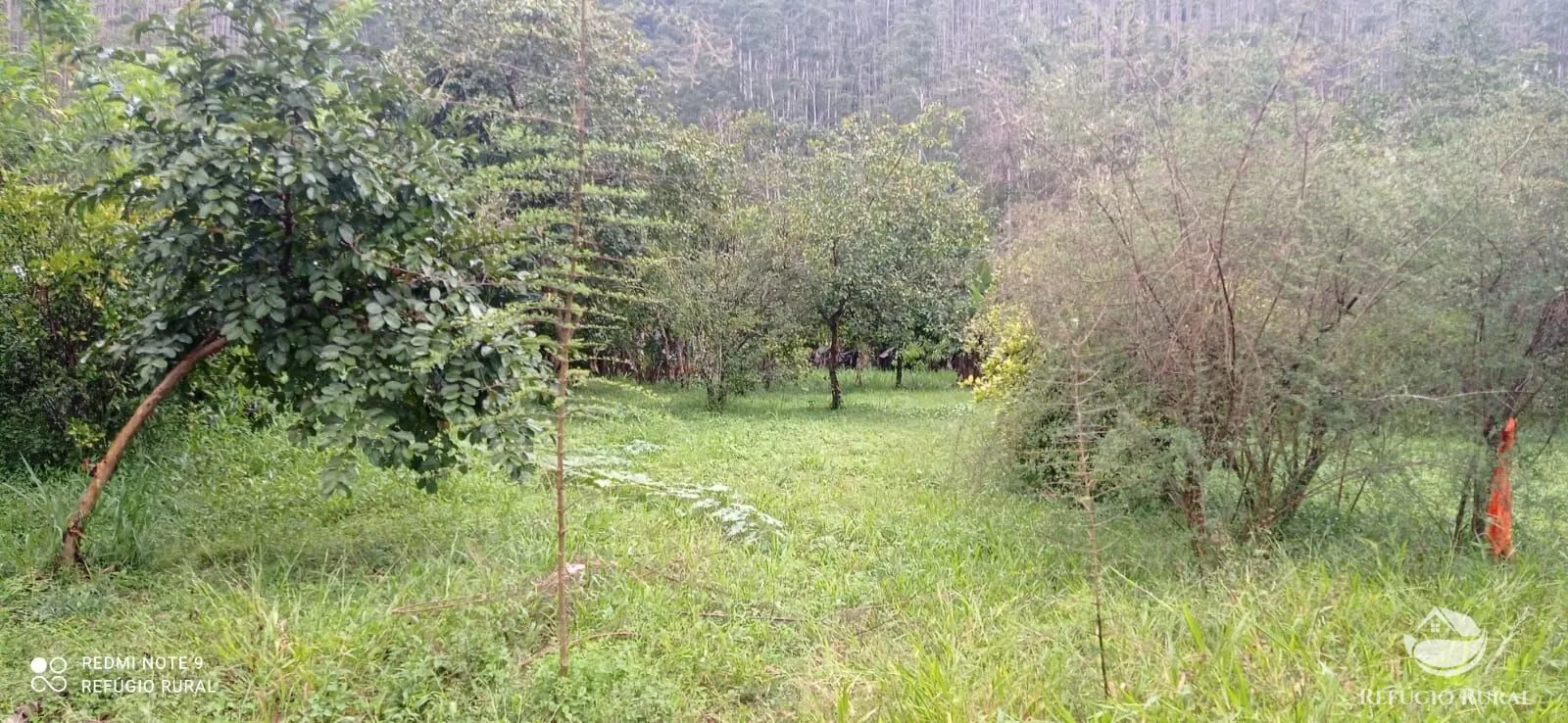 Sítio à venda de 4 ha em São José dos Campos, SP, Brasil