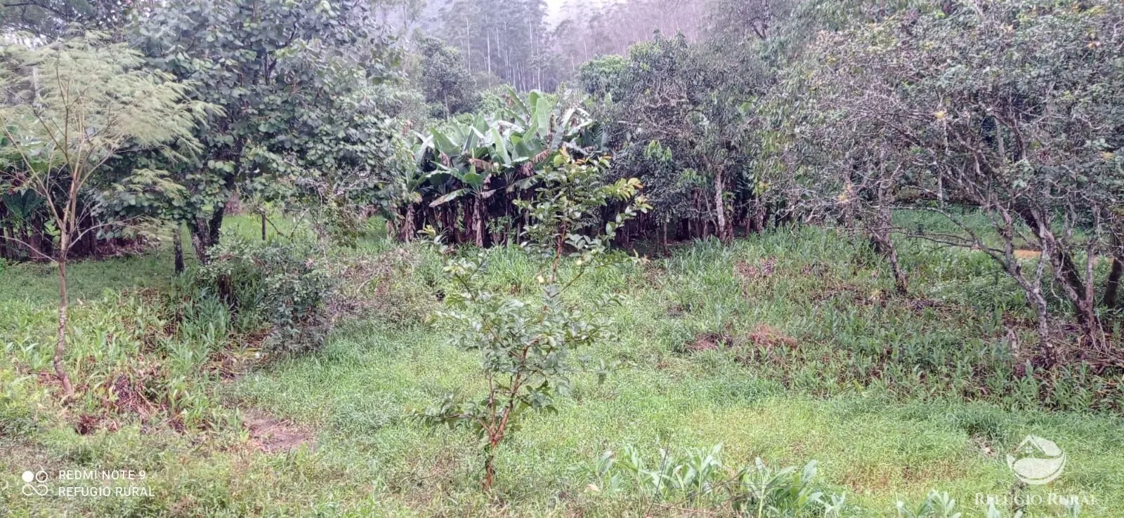 Sítio à venda de 4 ha em São José dos Campos, SP, Brasil