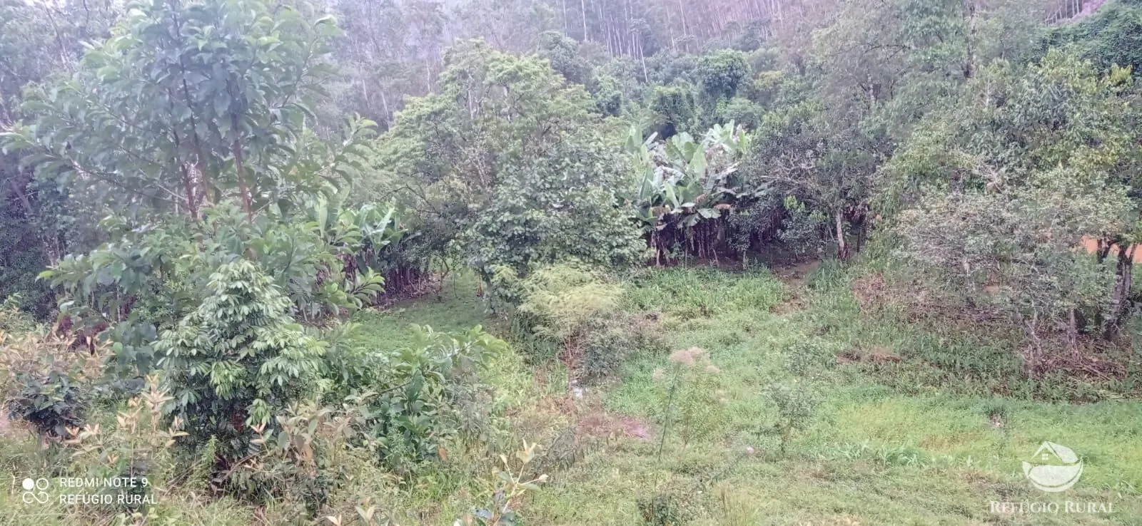 Sítio à venda de 4 ha em São José dos Campos, SP, Brasil